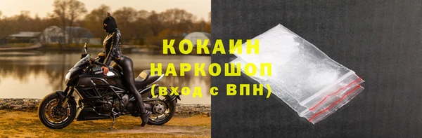 шишки Медвежьегорск