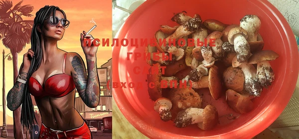 шишки Медвежьегорск