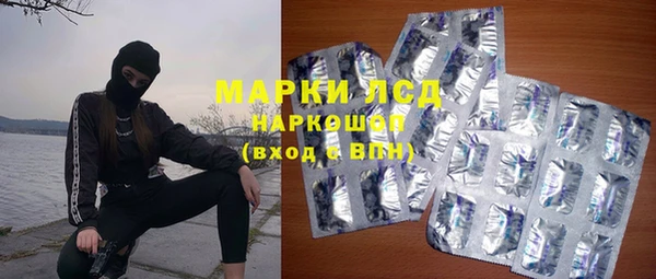 шишки Медвежьегорск