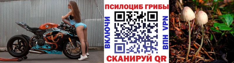 купить закладку  Урень  Псилоцибиновые грибы Psilocybe 
